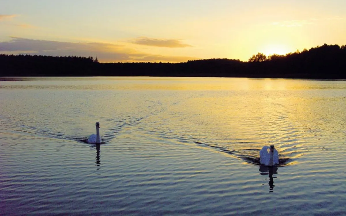 Masurische Seenplatte