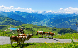 Panoramawanderweg auf dem Kitzbüheler Horn