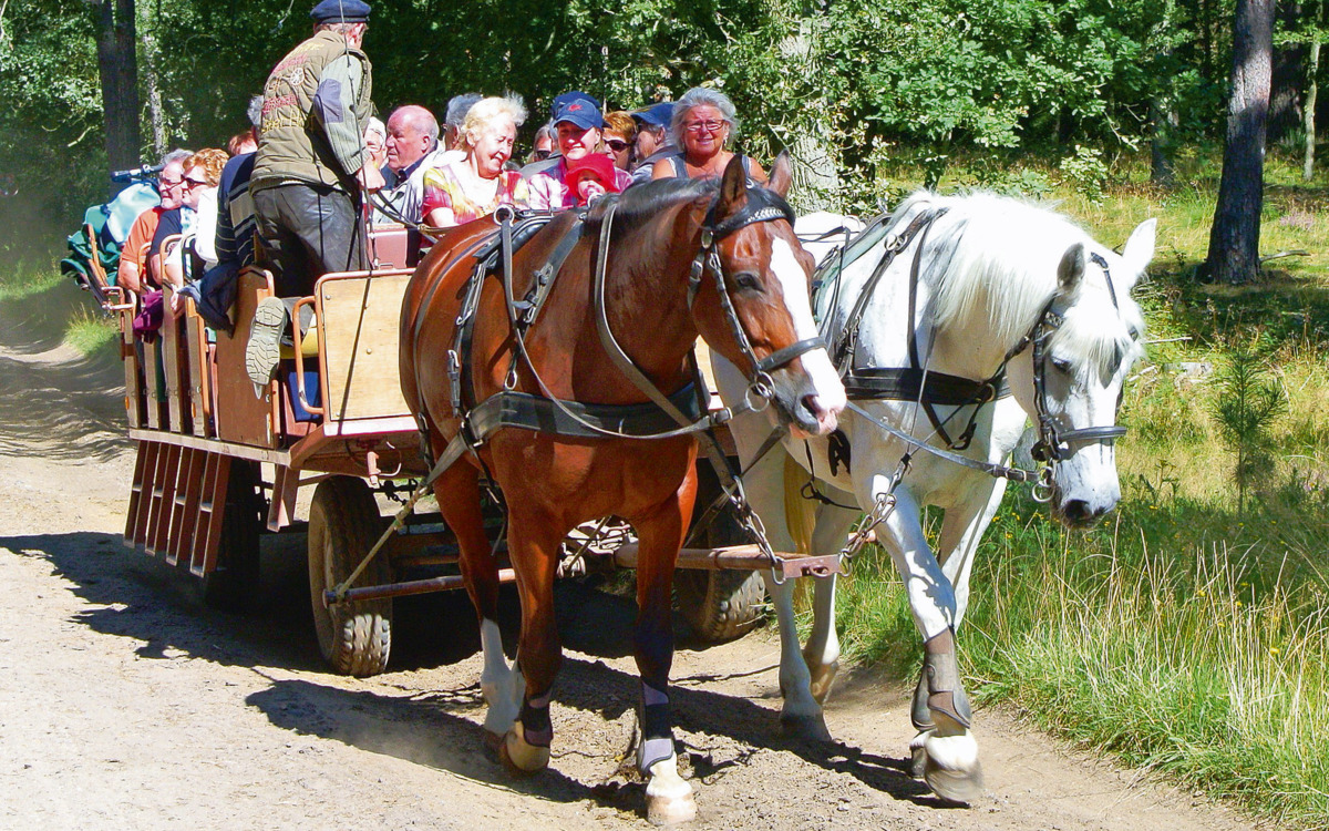 Pferdekutschfahrt