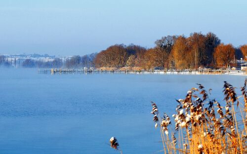 winterlicher Bodensee