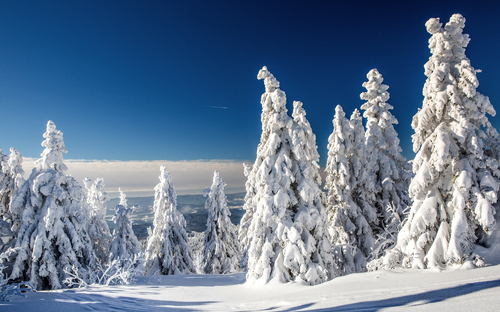 Winterlandschaft am Grossen Arber im Bayerischen Wald