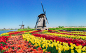 Frühlingsfahrt nach Holland