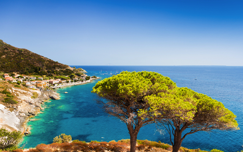 in der Nähe von Pomonte auf der italienischen Insel Elba